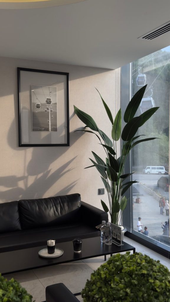 pexels-photo-34919608 A stylish lounge with leather seating, large plant, and wall art beside a big window.